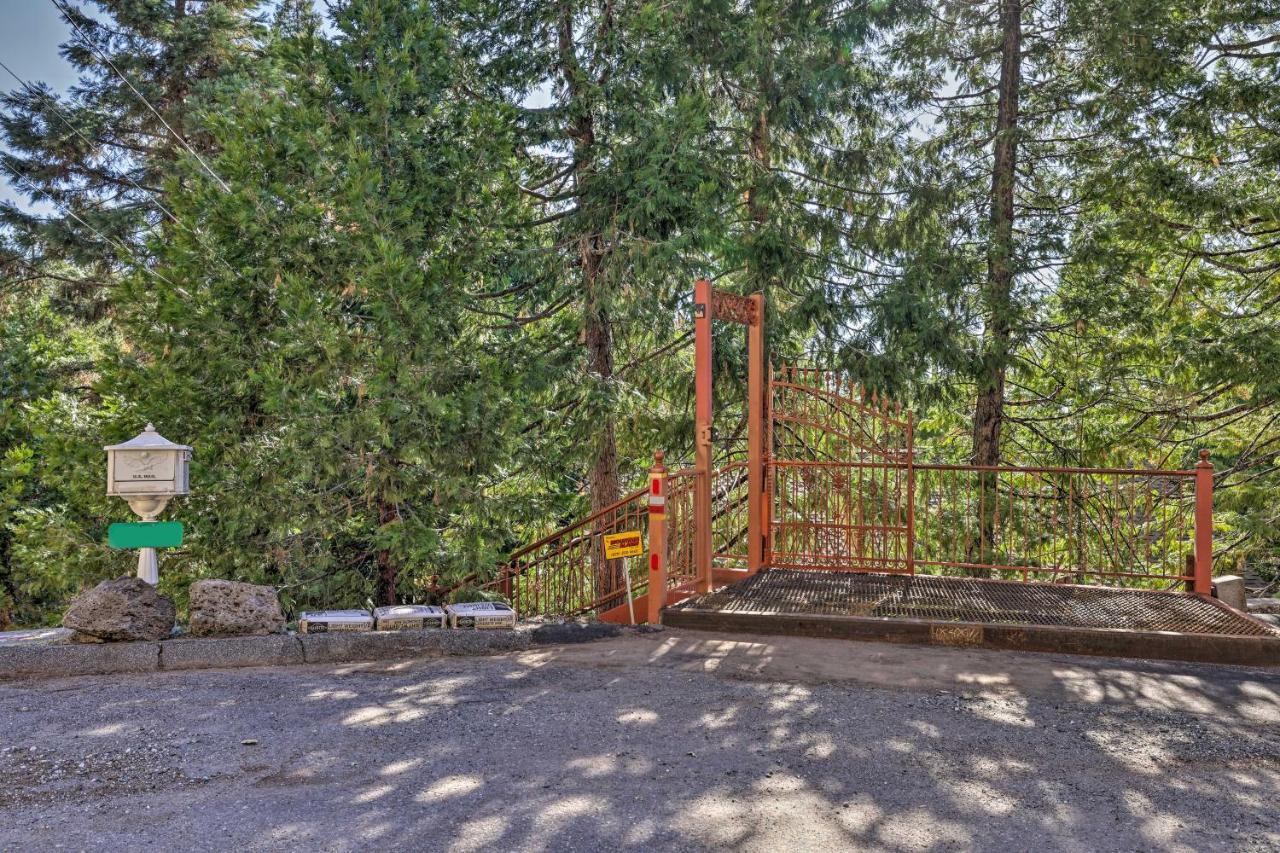 Quiet Twain Harte Cabin With Deck And Forest Views! Ngoại thất bức ảnh